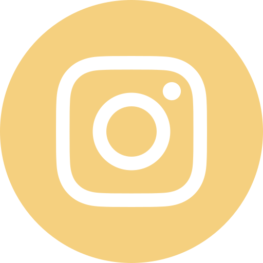 CF Christian Franke – Musiker – Instagram-Symbol